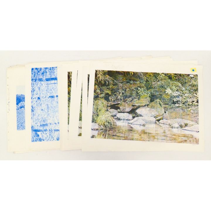 21pc Mike Pease Prints & Test Prints