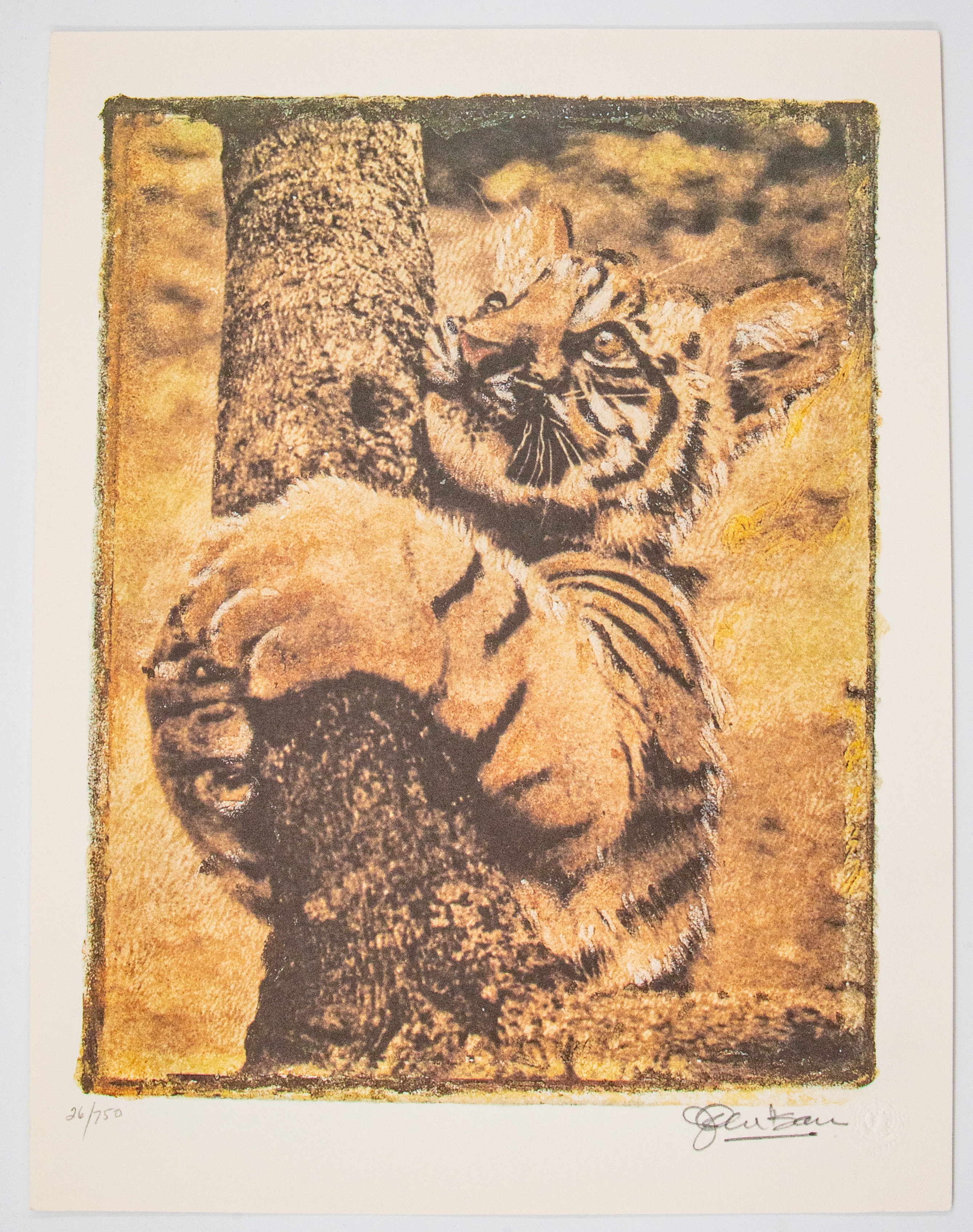359 · India, John Isaac, 'Living on Borrowed Time', 1994