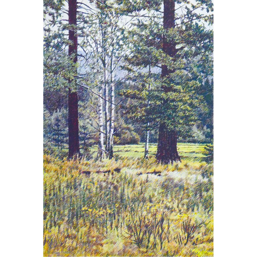 Mike Pease ''Mountain Meadow I'' 1998 S/N Color Lithograph 36''x24''