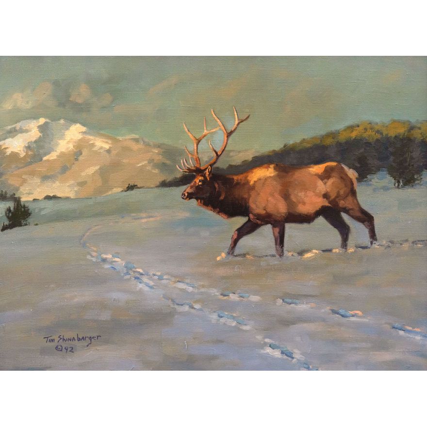 Tim Shinabarger (1966-) Untitled (Bull Elk in Winter Landscape)