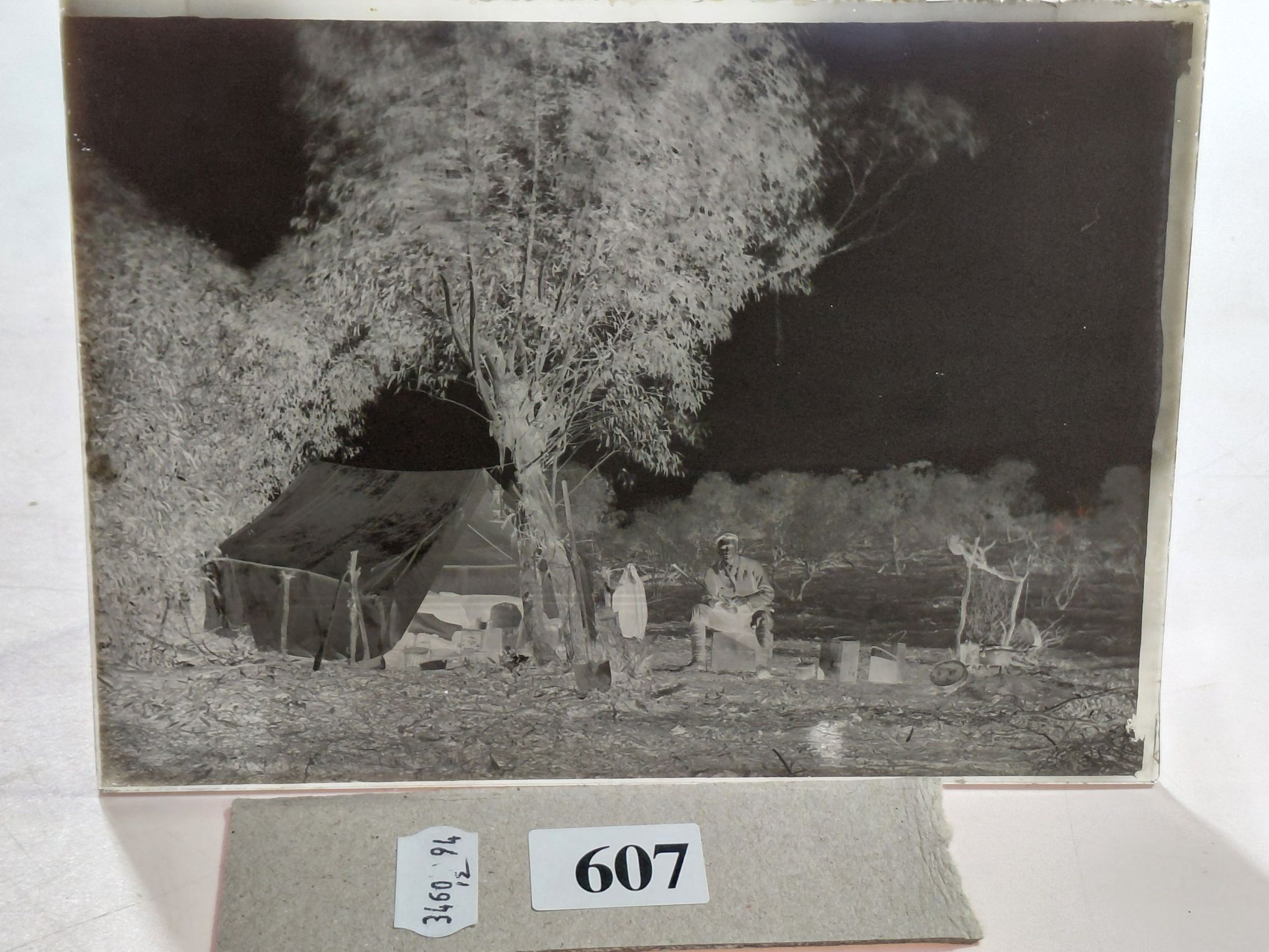 607 · GLASS NEGATIVES