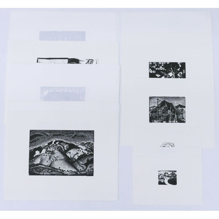 Folio 21pc Charles Heaney Special Edition Woodblock Prints