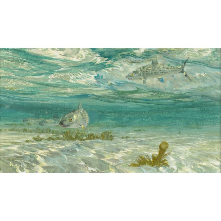 Stanley Meltzoff (1917-2006): Bonefish