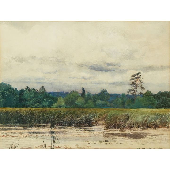 Józef Rapacki | Mokradła w Mrozach, 1902 r.