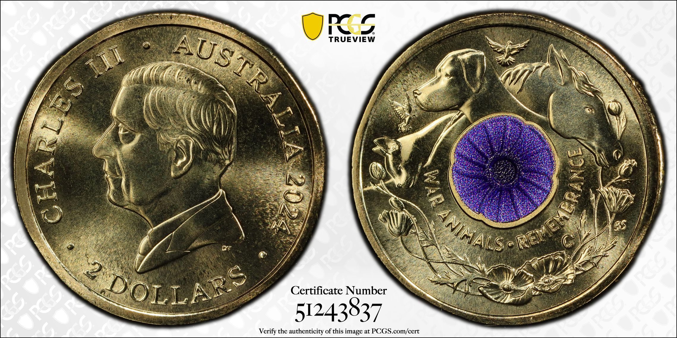 War Animal Remembrance Colorized, Two Dollar, 2024-C, PCGS MS70