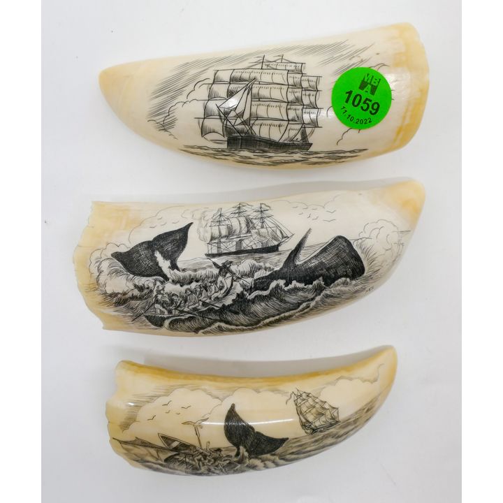 3pc Scrimshawed Maritime Tooth Sculptures 4'' to 4.5'' - Initialed MG