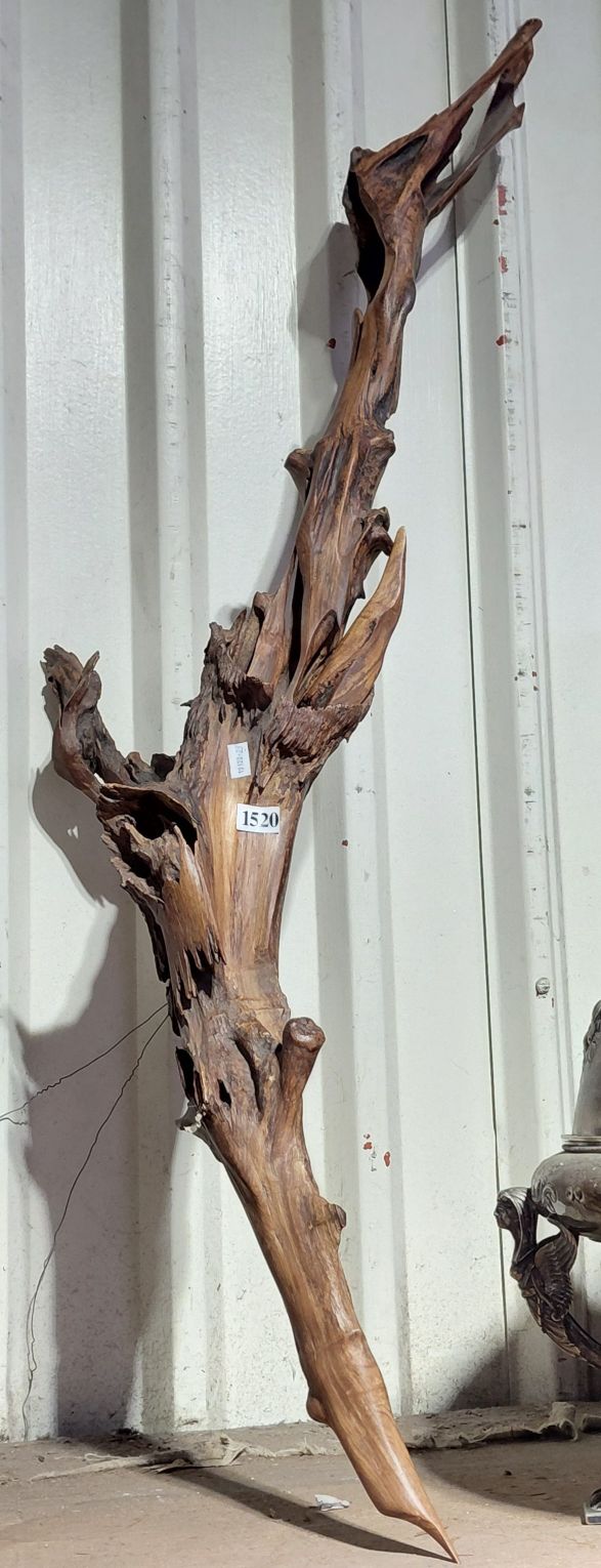 DRIFT WOOD BRANCH