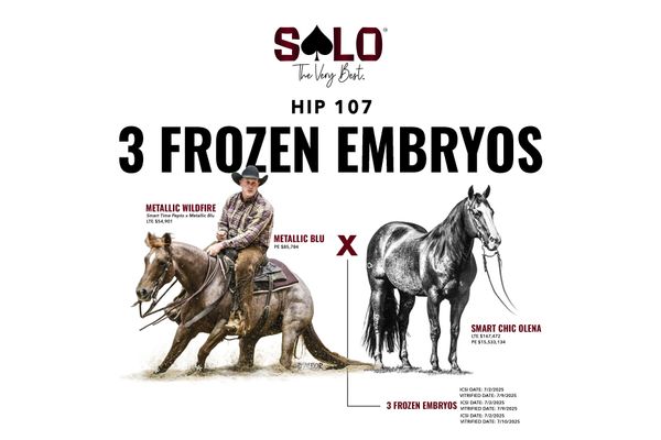 Three frozen embryos, Smart Chic Olena x Metallic Blu, Lot 107 in the Solo Select October Sale