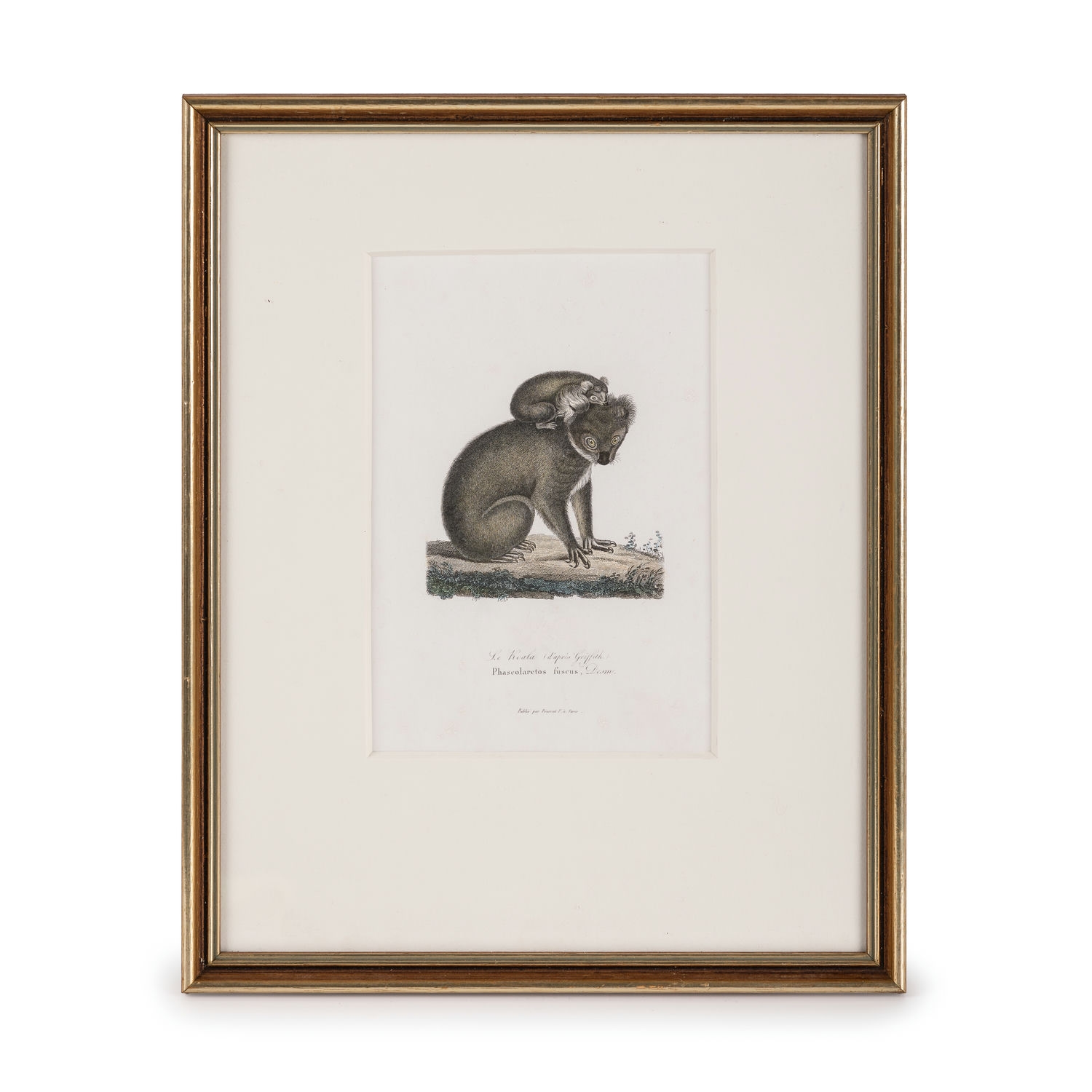 France, Series Of Varied Engravers - Koala With Young, 1840