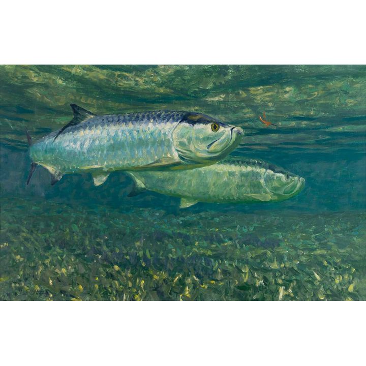 Mike Stidham (1954- ), Tarpon