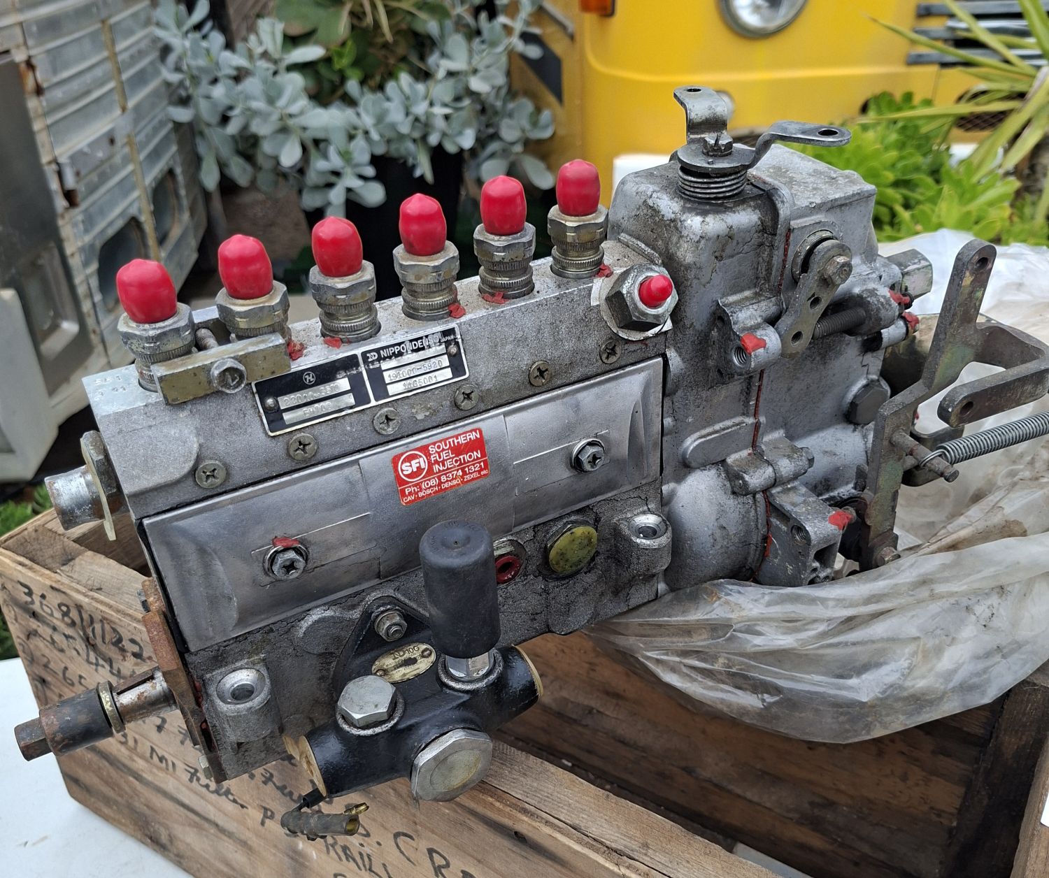 Fuel Pump Injectors
