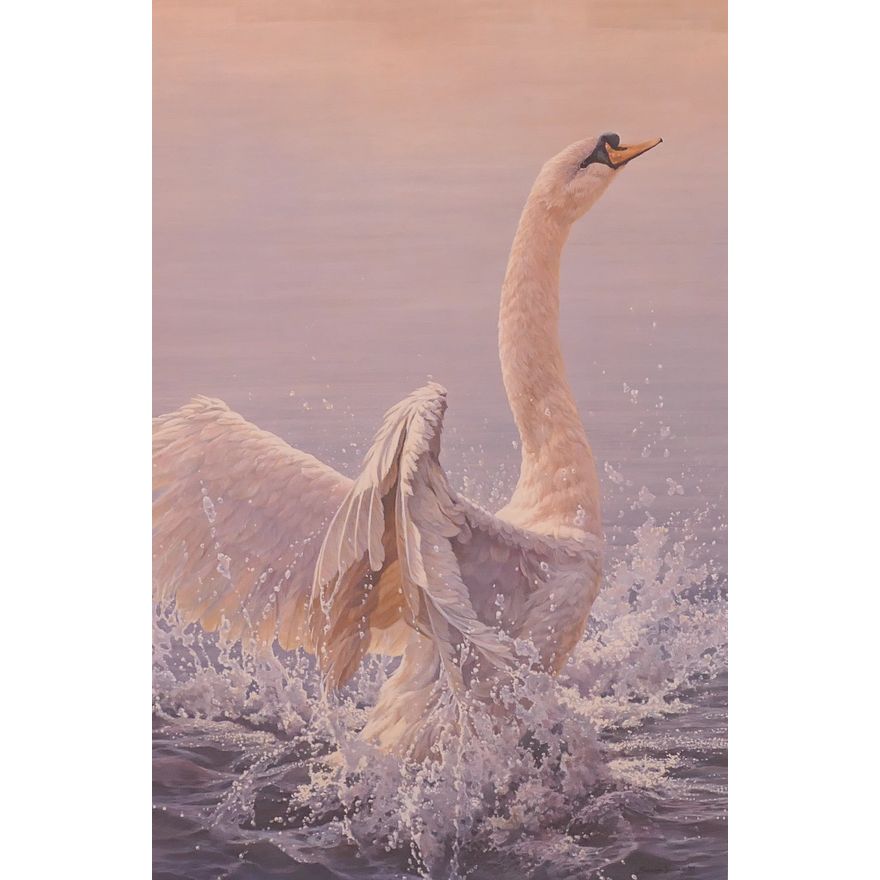 John Seerey-Lester (b.1946) ''Bathing - Mute Swan'' S/N Lithograph. Edition 26/950.