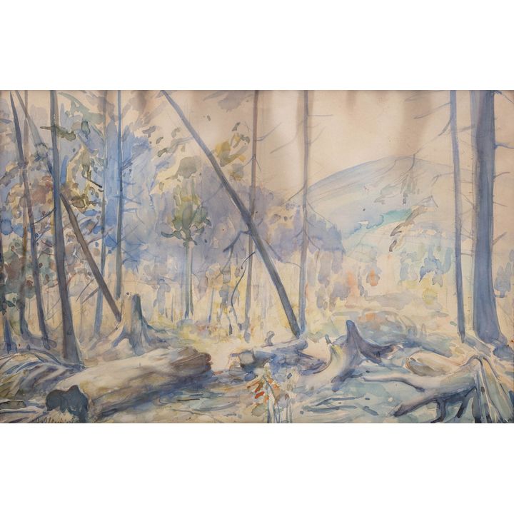Jan Kazimierz Olpiński | Las