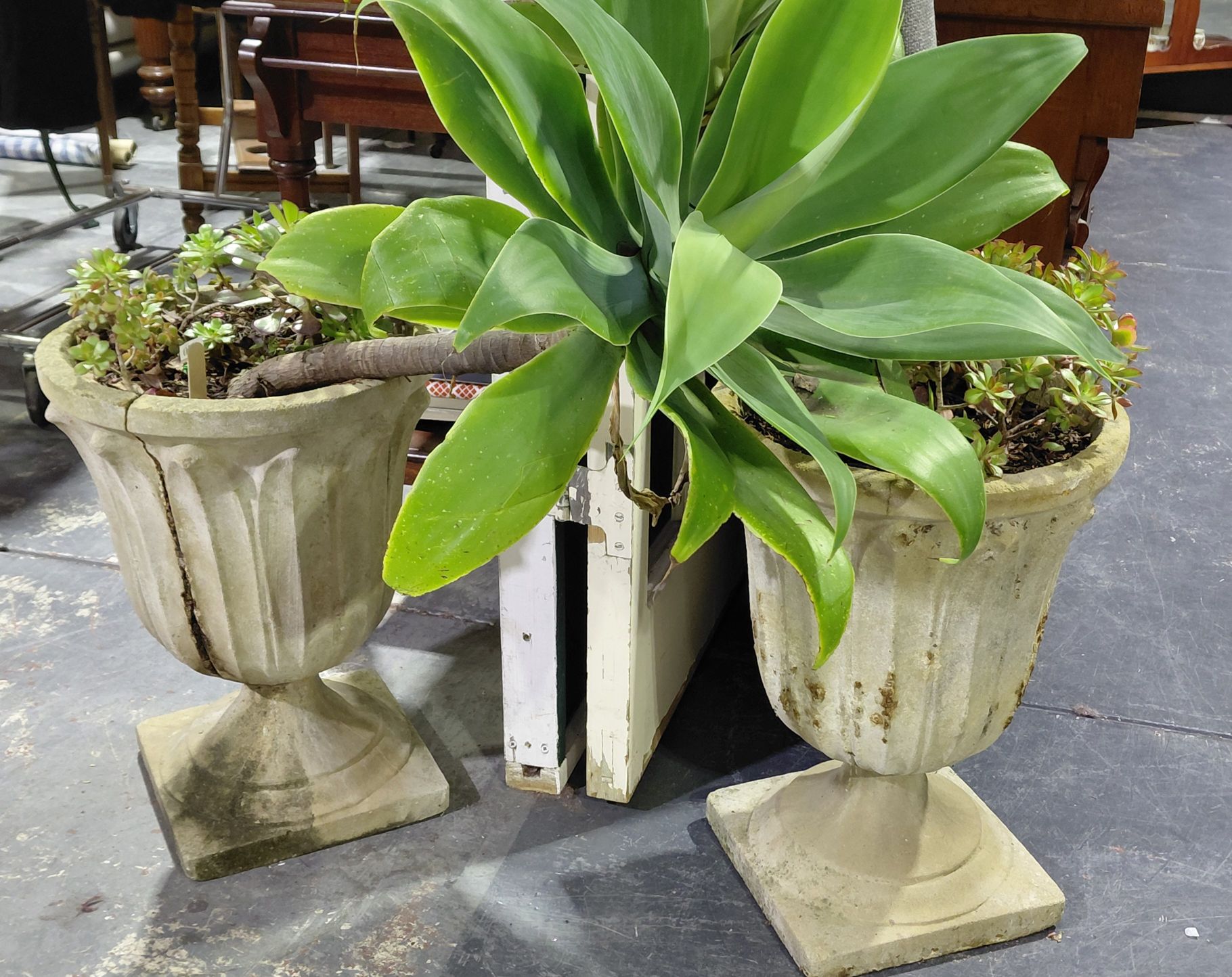 240 · PAIR OF CONCRETE POTS