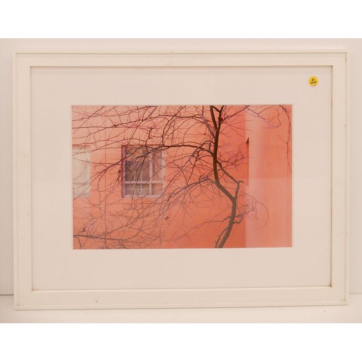 Lauren Crew 'Blank Stare' 2012 Signed Art Photograph Framed- 20x26''