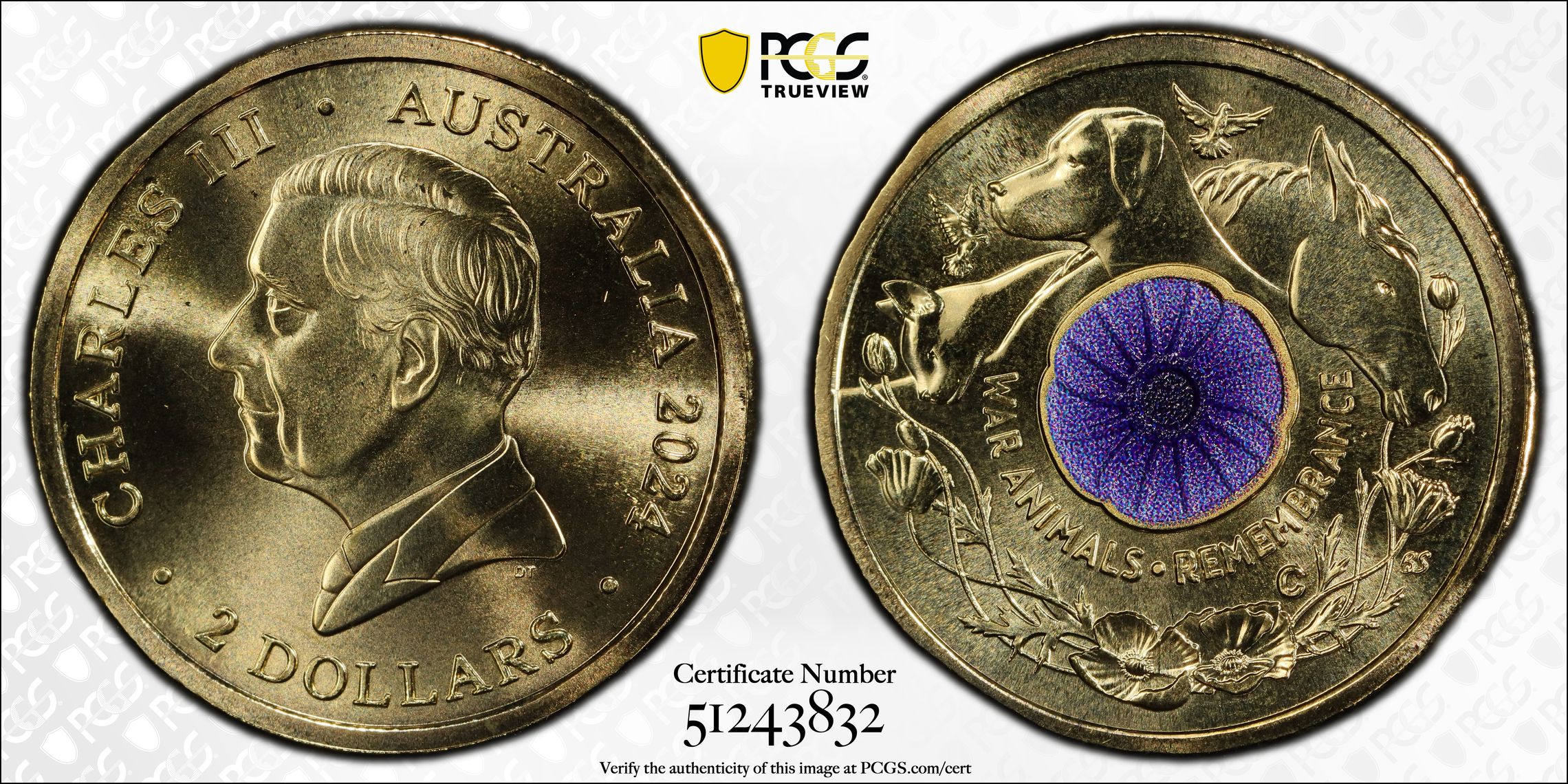 War Animal Remembrance Colorized, Two Dollar, 2024-C, PCGS MS70