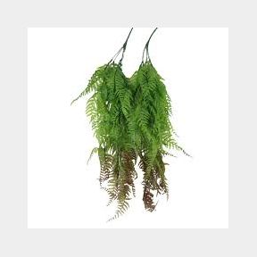 Set of 2 Hanging Sword Fern 75cm - Plant Couture - Artificial Plants - Bar 9902041550111- 51748/13767 SN B3 (S7)
