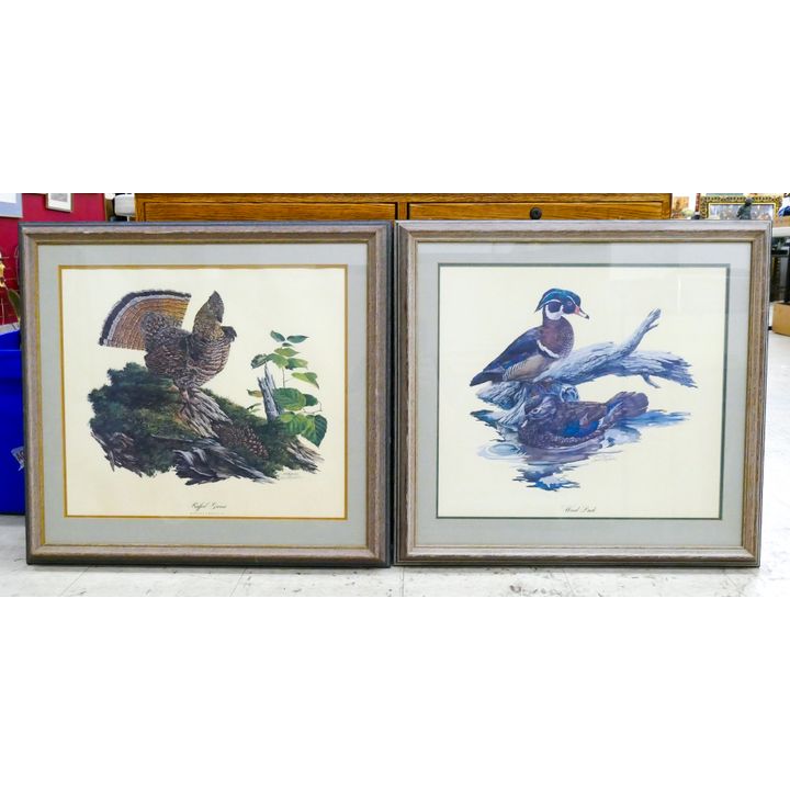 2pc Lewis Raymer Signed Bird Prints Framed 20"x24"