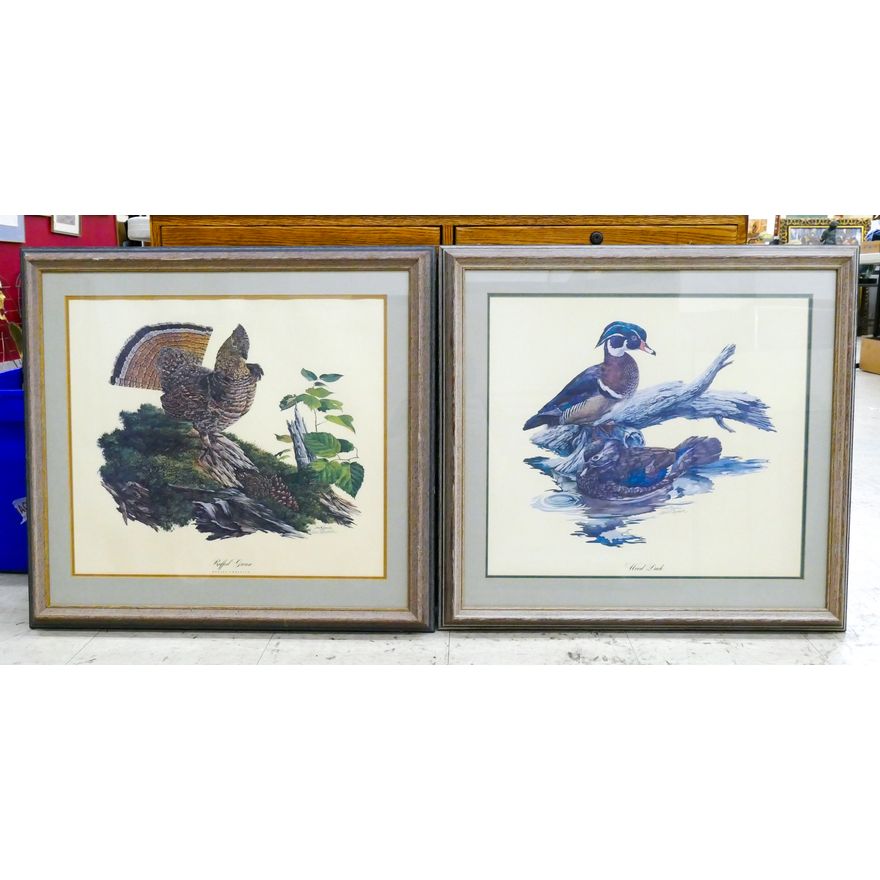 2pc Lewis Raymer Signed Bird Prints Framed 20"x24"