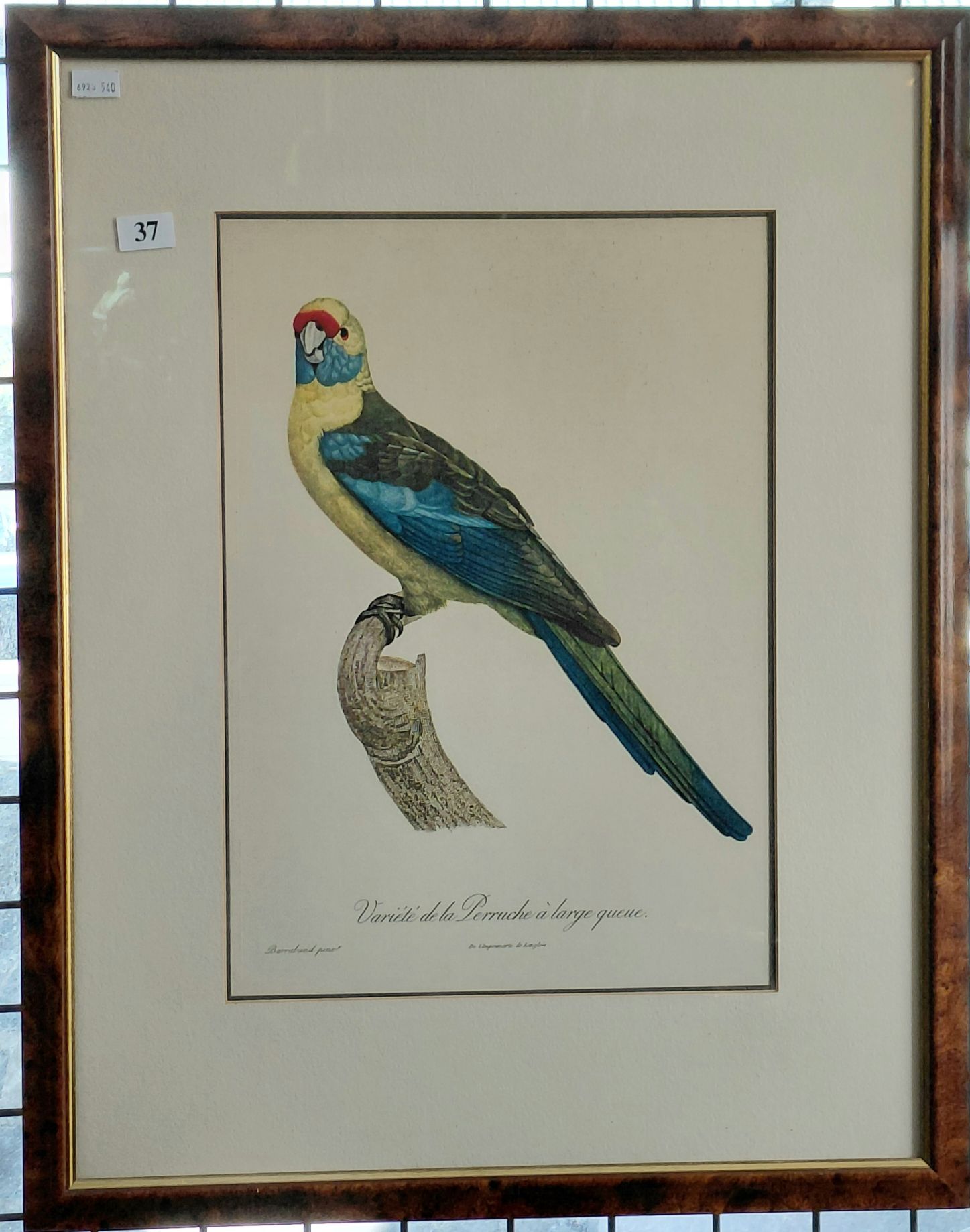 37 · FRENCH BIRD PRINT