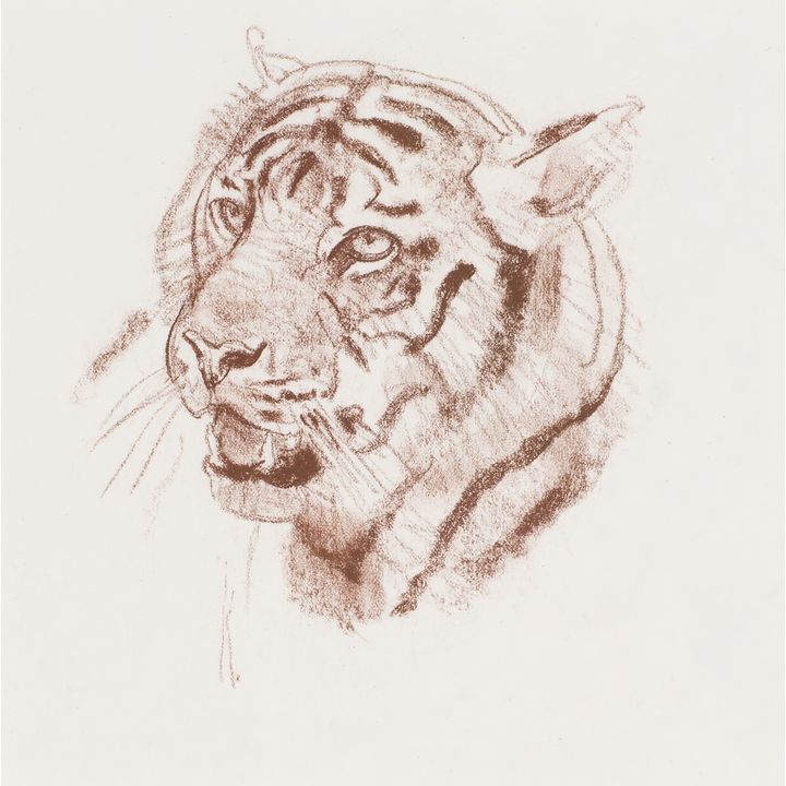Bob Kuhn (1920-2007), Bengal Tiger