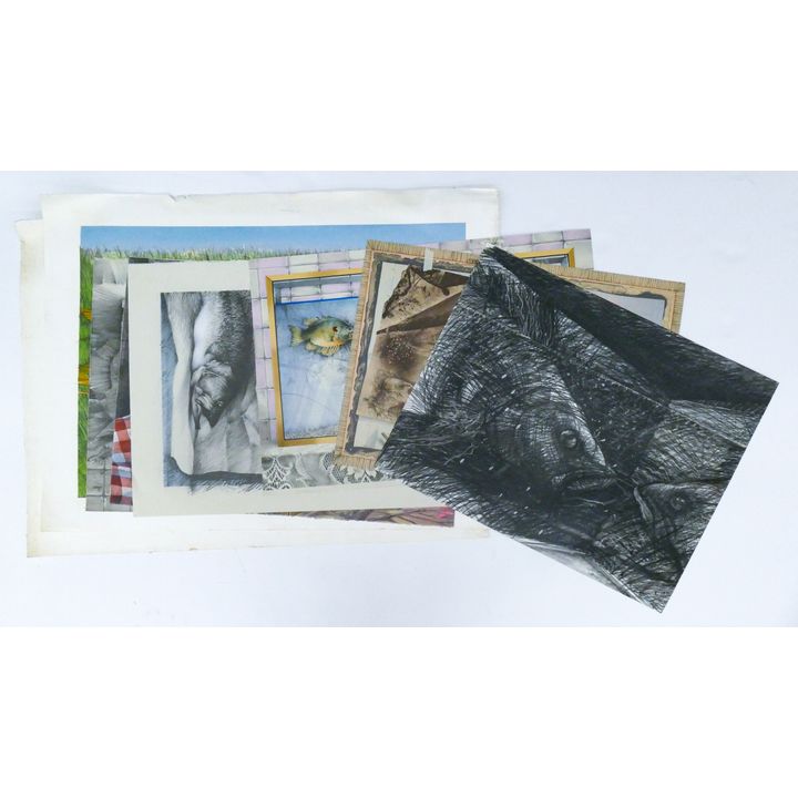 8pc Fred Wessel Various Fish Lithographs Etc. Loose, unframed.