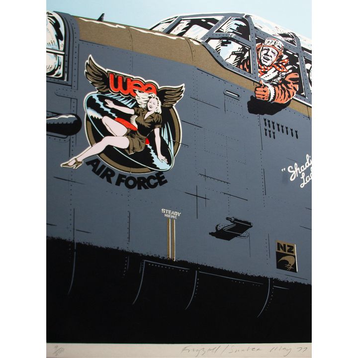 Dick Frizzell 'WEA Air Force'