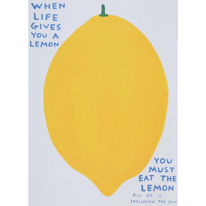 David Shrigley 'When Life Gives you a Lemon'
