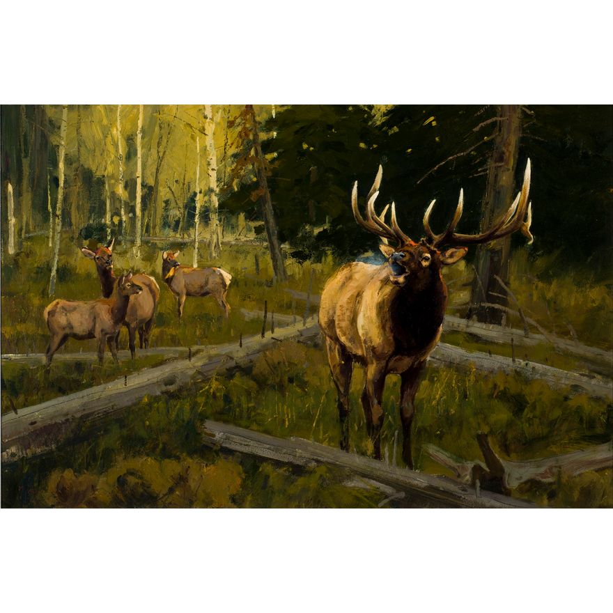Luke Frazier (1970- ), Mountain Melody