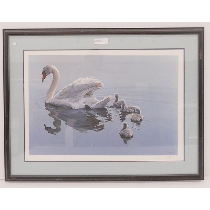 Ron Parker S/N Swan Print- 29x38'' framed