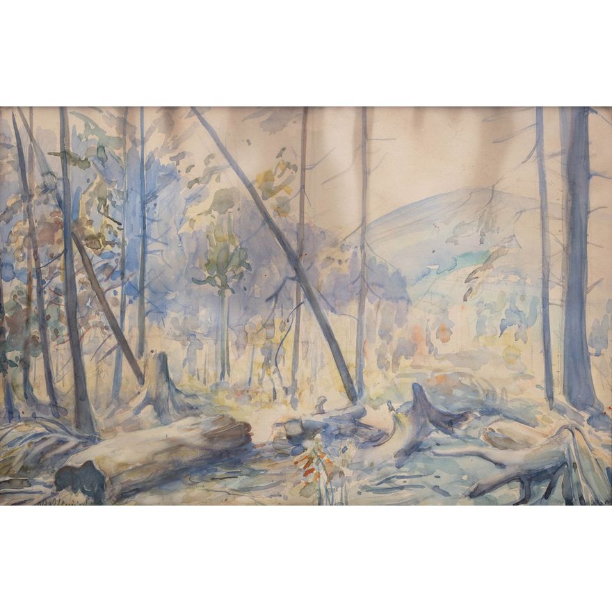 Jan Kazimierz Olpiński | Las