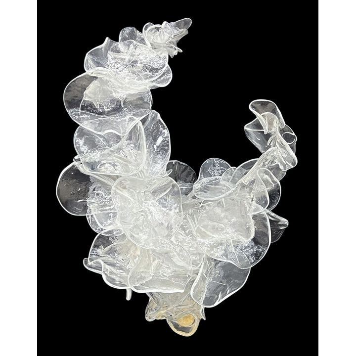 Martin Blank ''Steam Portrait'' (Study) 2011 Glass