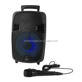 12Inch Portable Outdoor Speaker wireless speaker with microphone JT 1248|