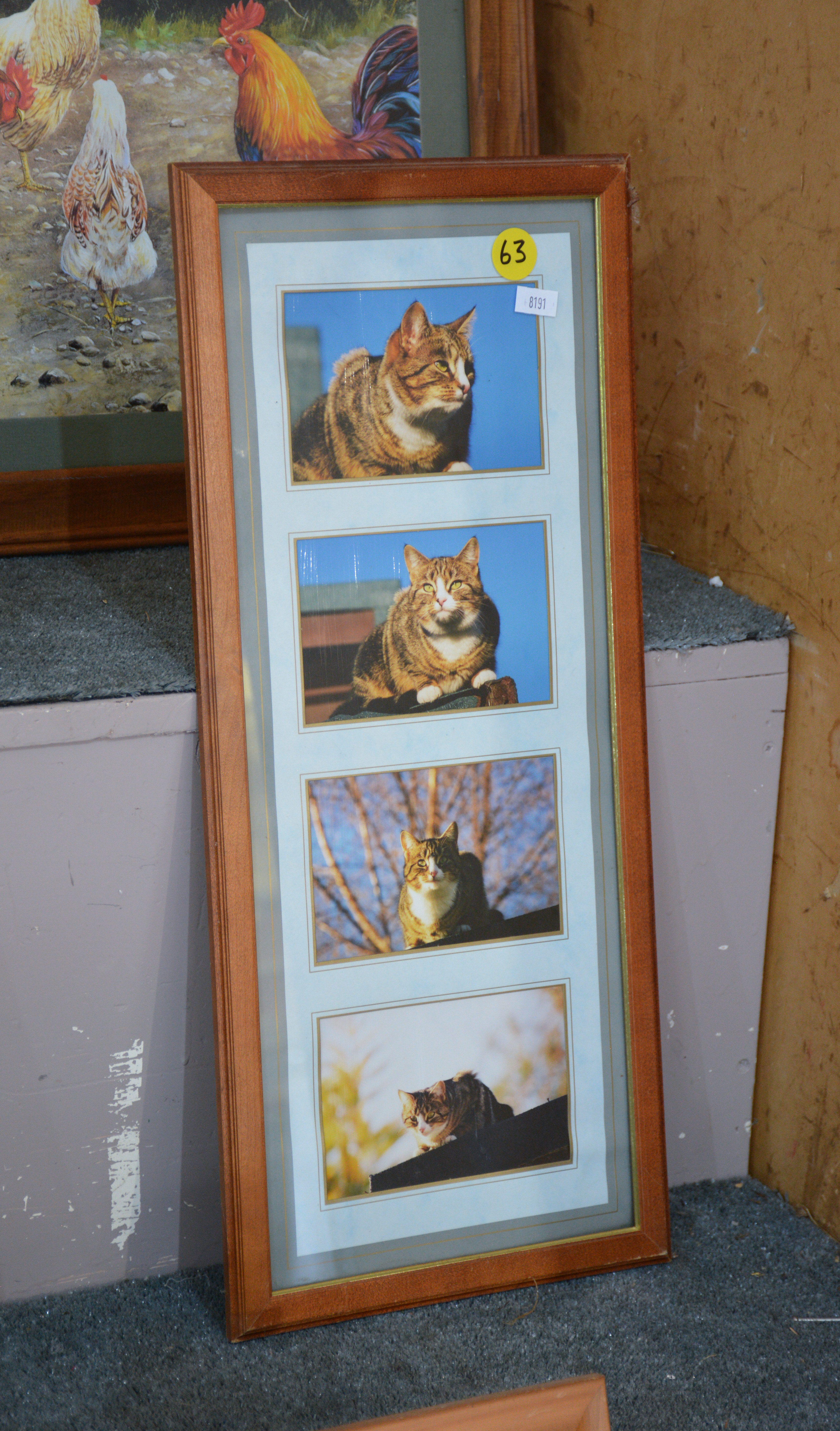 Framed Pictures (have you seen this cat?) — NZ auction result