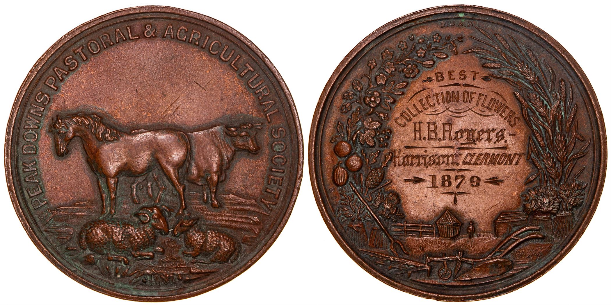133 · Queensland Pastoral Medal, 1879,  VF