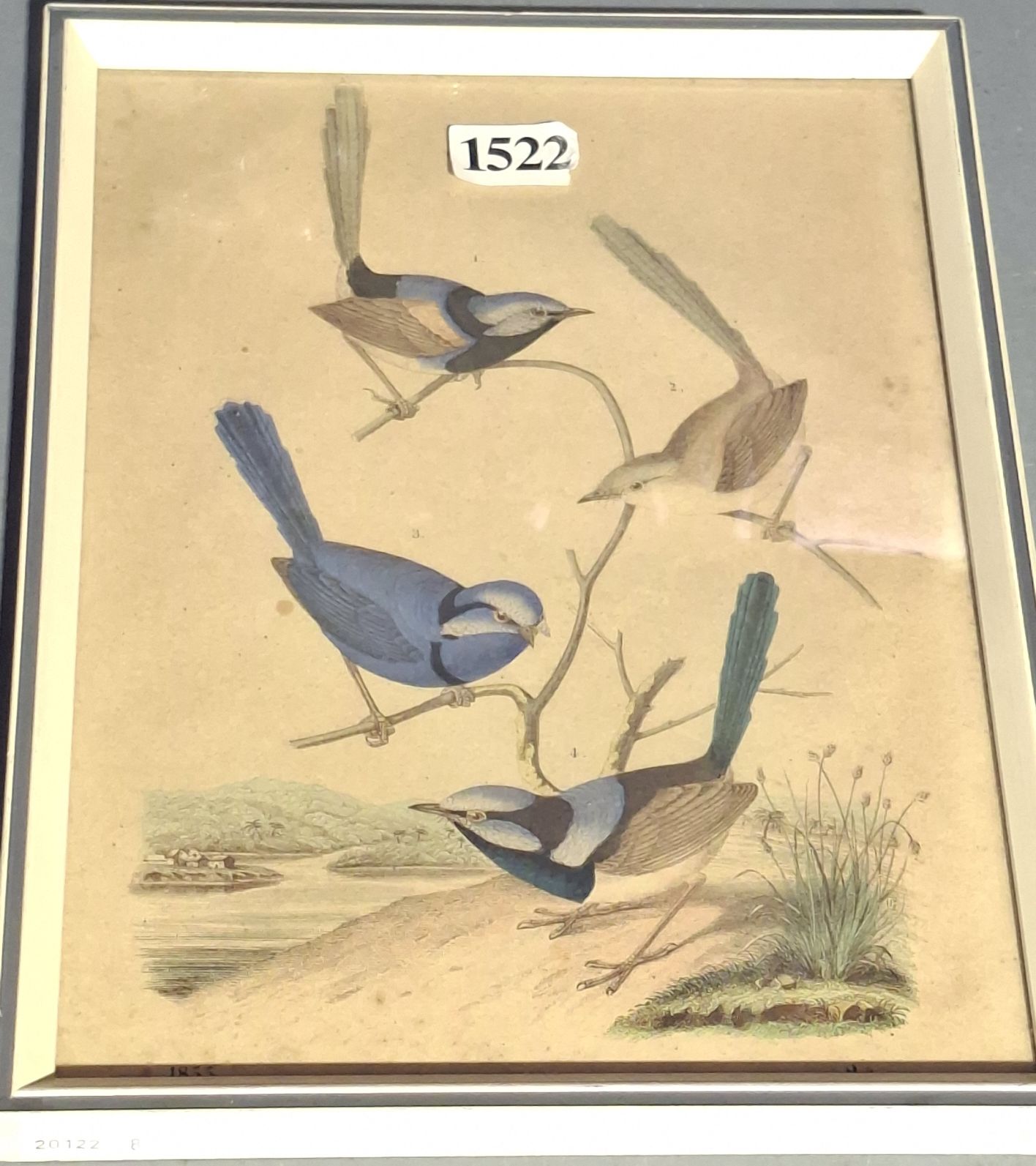 Coloured Lithographic Print