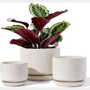 LE TAUCI CERAMIC PLANT POTS, SET OF 3 ( 2 NEW, 1 DAMAGED) 4.3+5.3+6.8 INCH PLANT POTS INDOOR, PLANTERS POTS WITH DRAINAGE HOLE & S