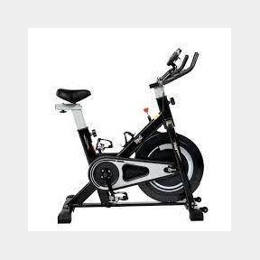 Everlast Fluid Exercise Spin Bike-50582/5591 (D) (B1 S1)