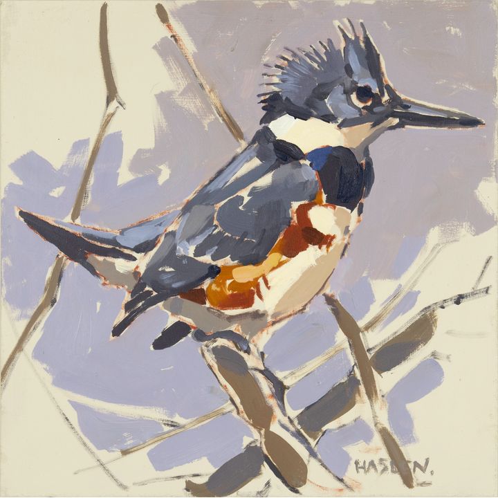 Andrew Haslen (1953- ), Belted Kingfisher Study 1, 2018