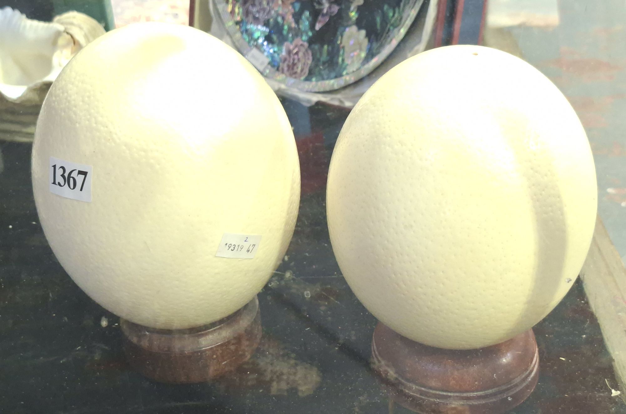 1367 · OSTRICH EGGS