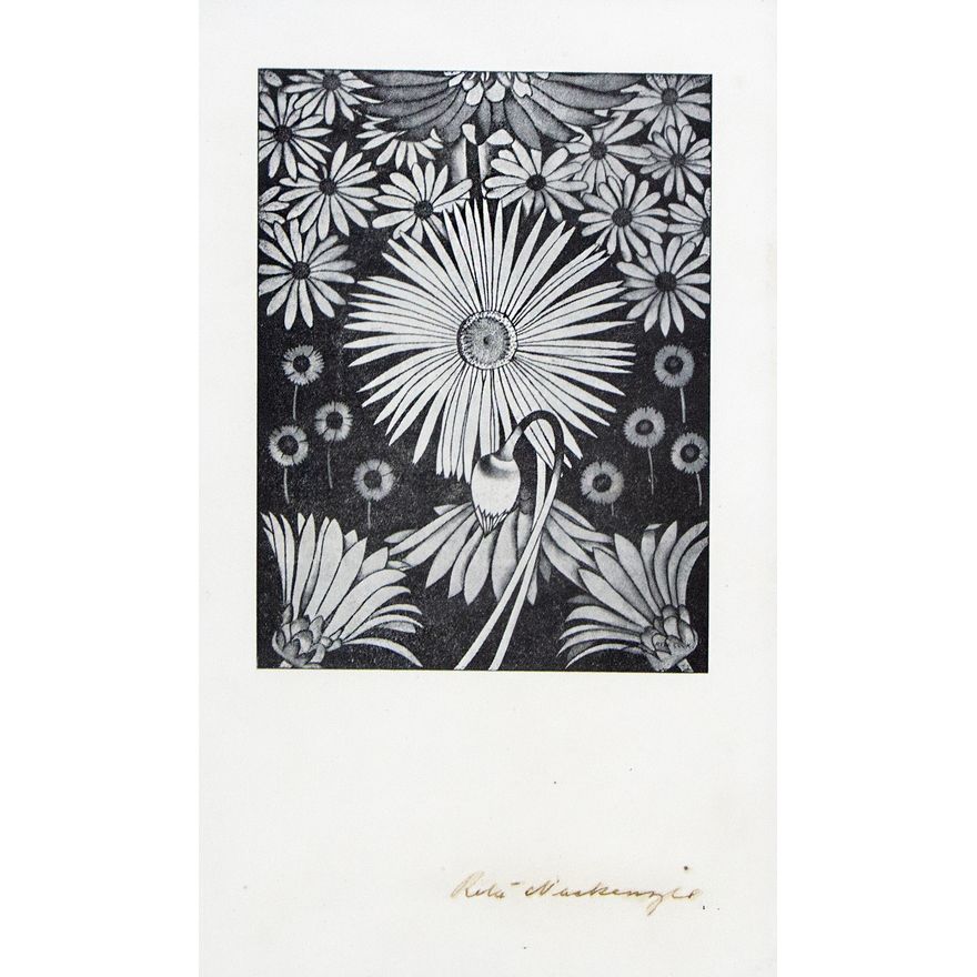 Rita Angus 'Untitled - daisy study'