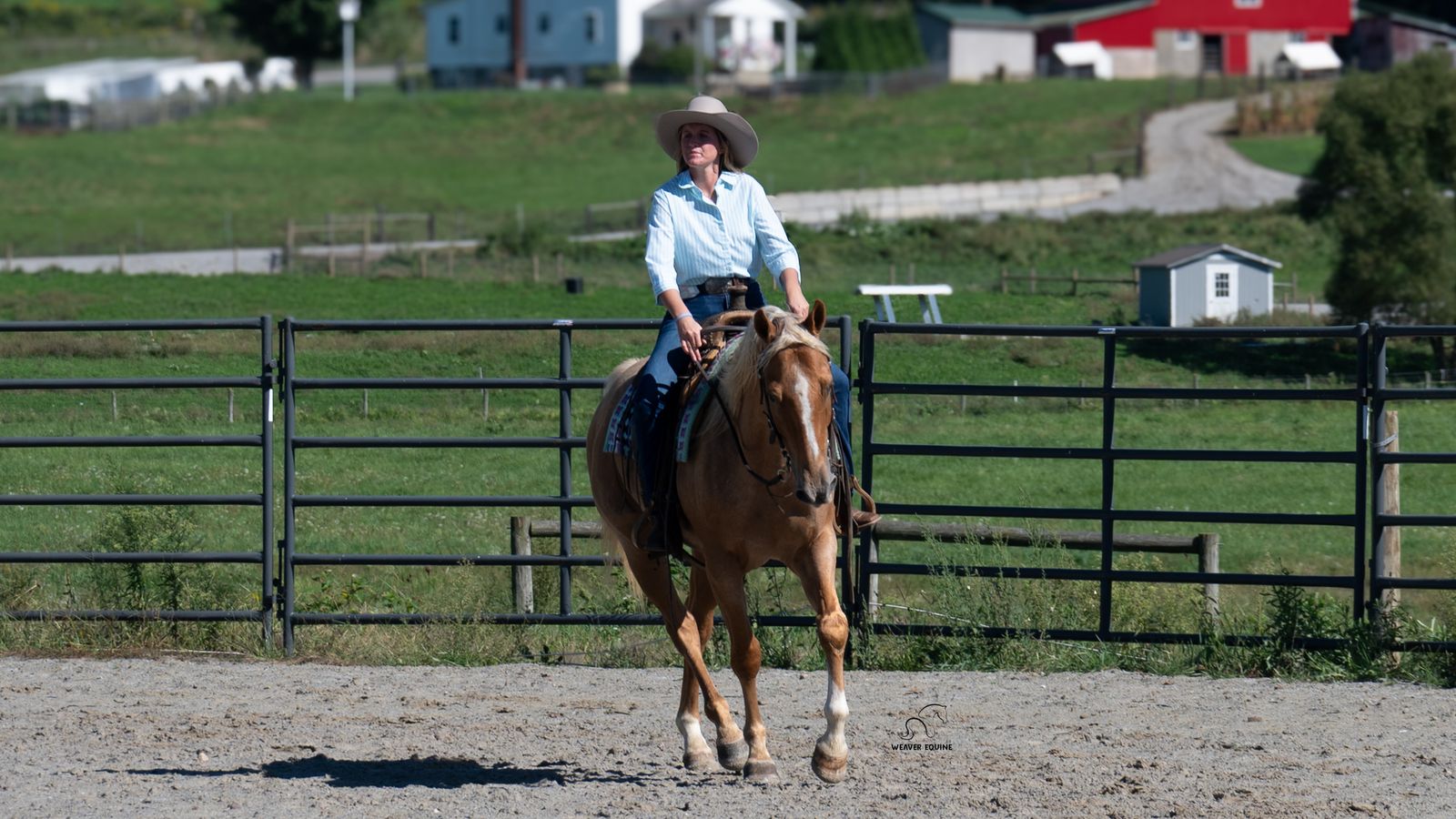 APOLLO | Horse Bid, LLC