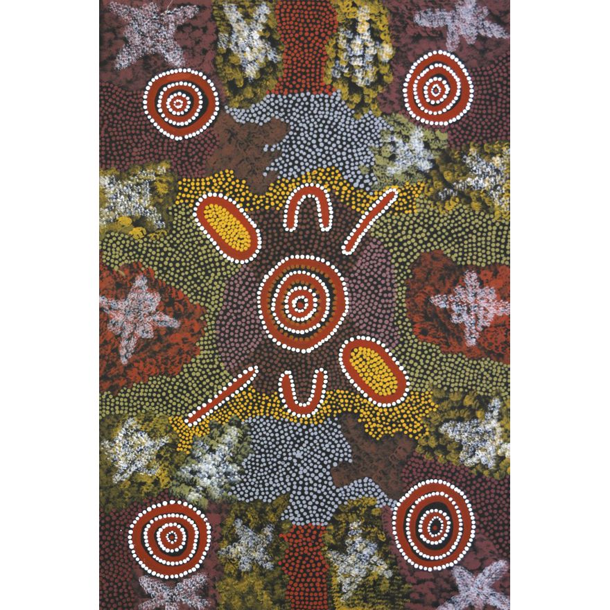 Pansy Napangardi, 'Bush Raisins'