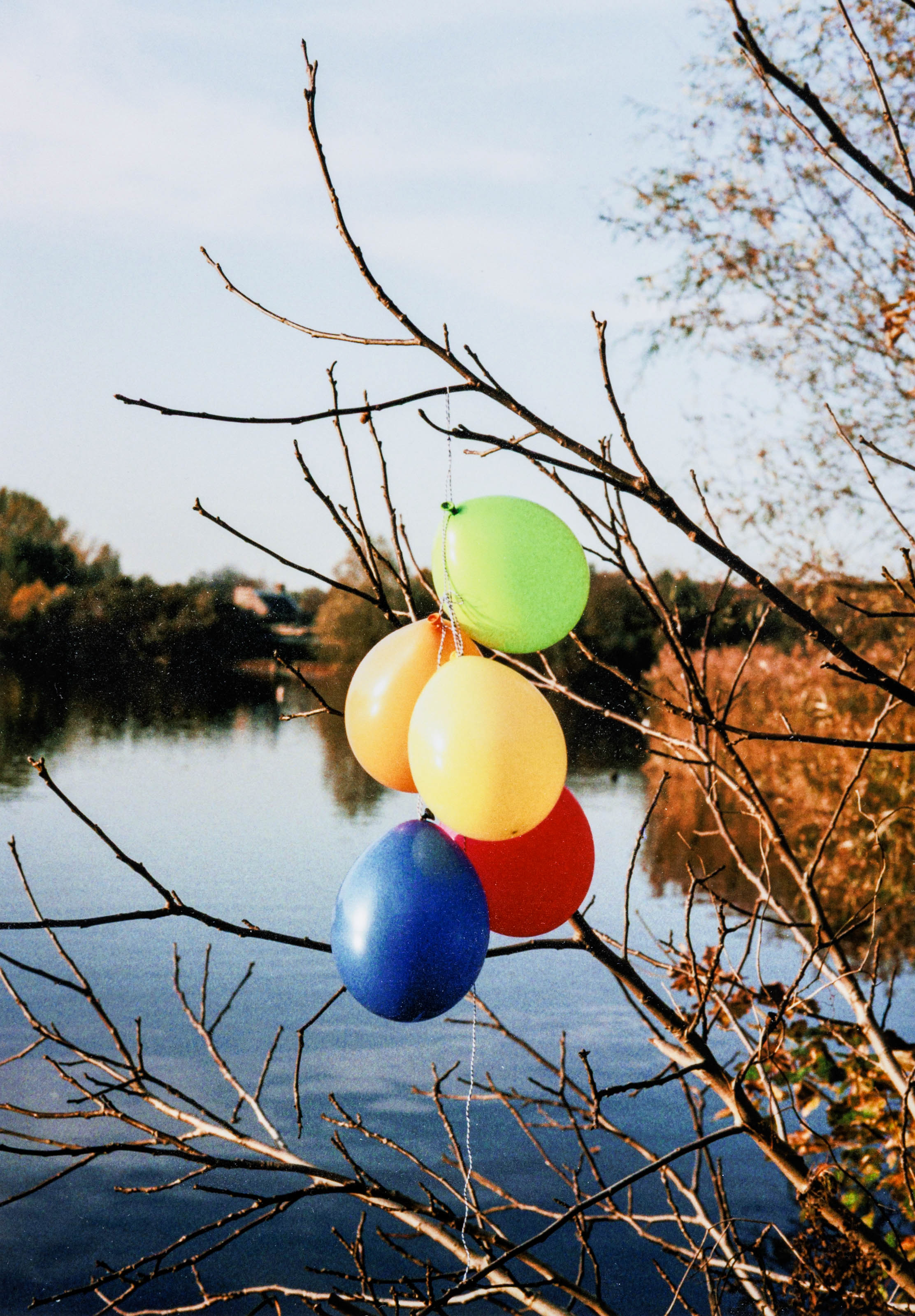Liza françois (°1995) – kavel bij Bernaerts, Antwerp