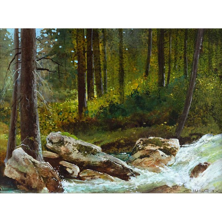 Jim Wilcox (1941- ), Below Hidden Falls