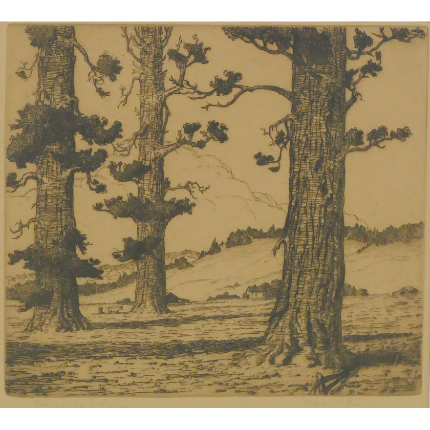 Melville Wire 'Redwoods in a Pasture' Etching.