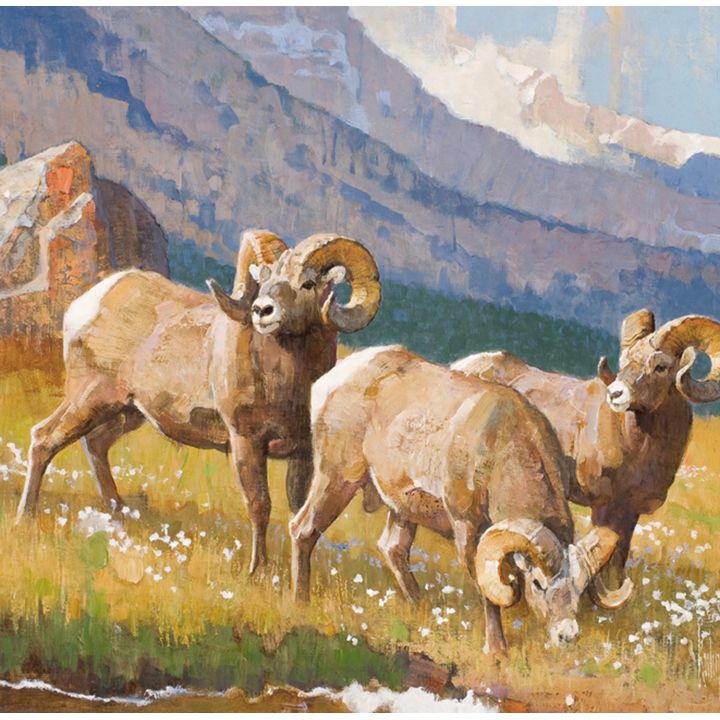 Bob Kuhn (1920-2007), Rocky Mountain High-bighorn sheep
