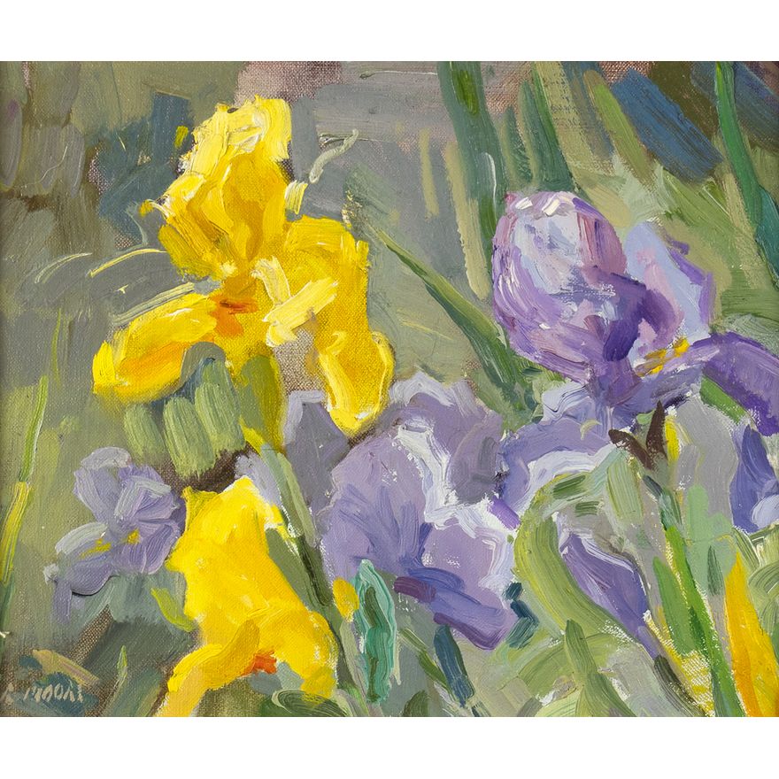 Robert Moore (1957- ), Iris