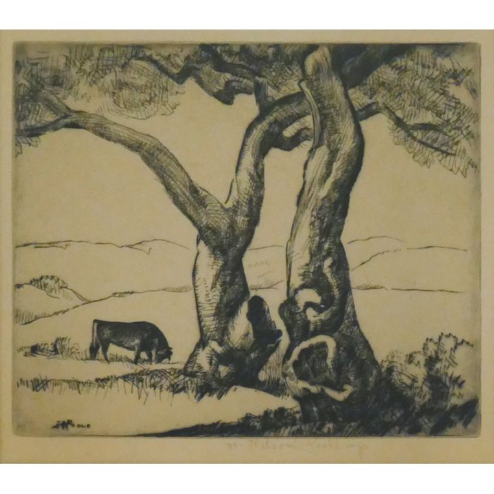 Horatio Nelson Poole ''Old Oaks'' Signed Etching Matted 20''x16''
