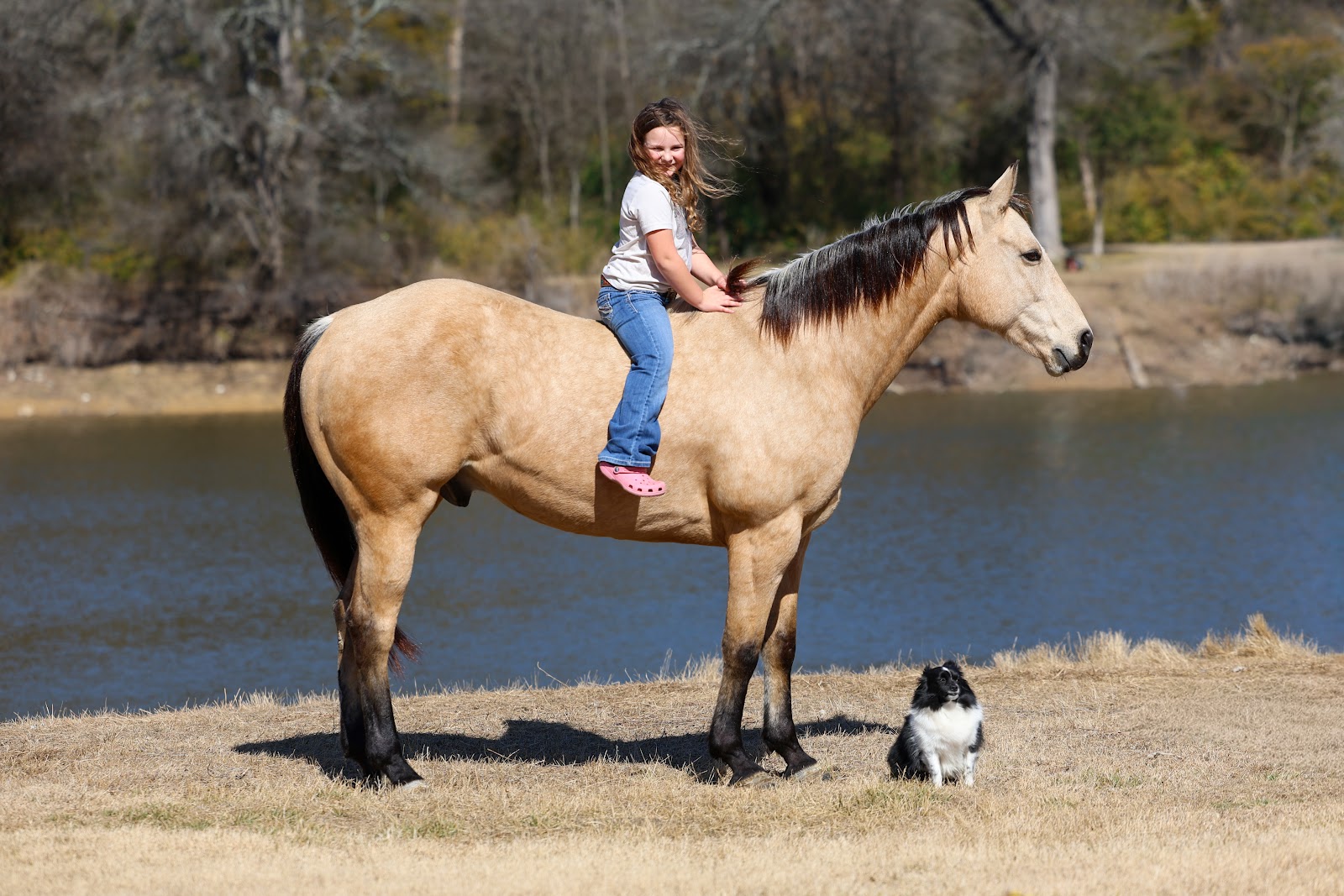 COUNTRY ROADS | Horse Bid, LLC